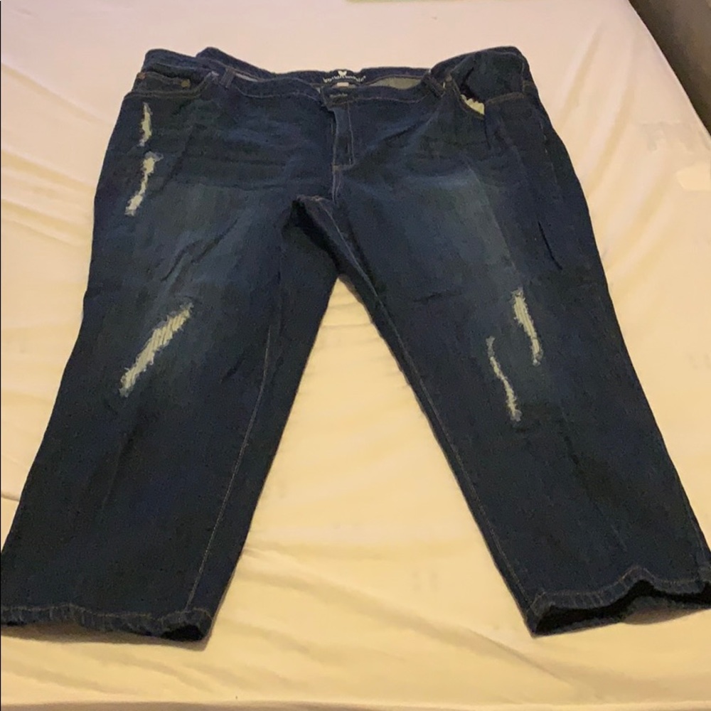 Woman Within size 26 PETITE jeans